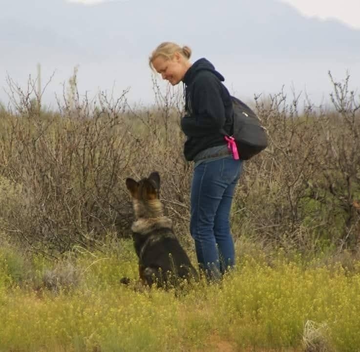Woman in jeans and hoodie training a German Shepherd dog in a field.