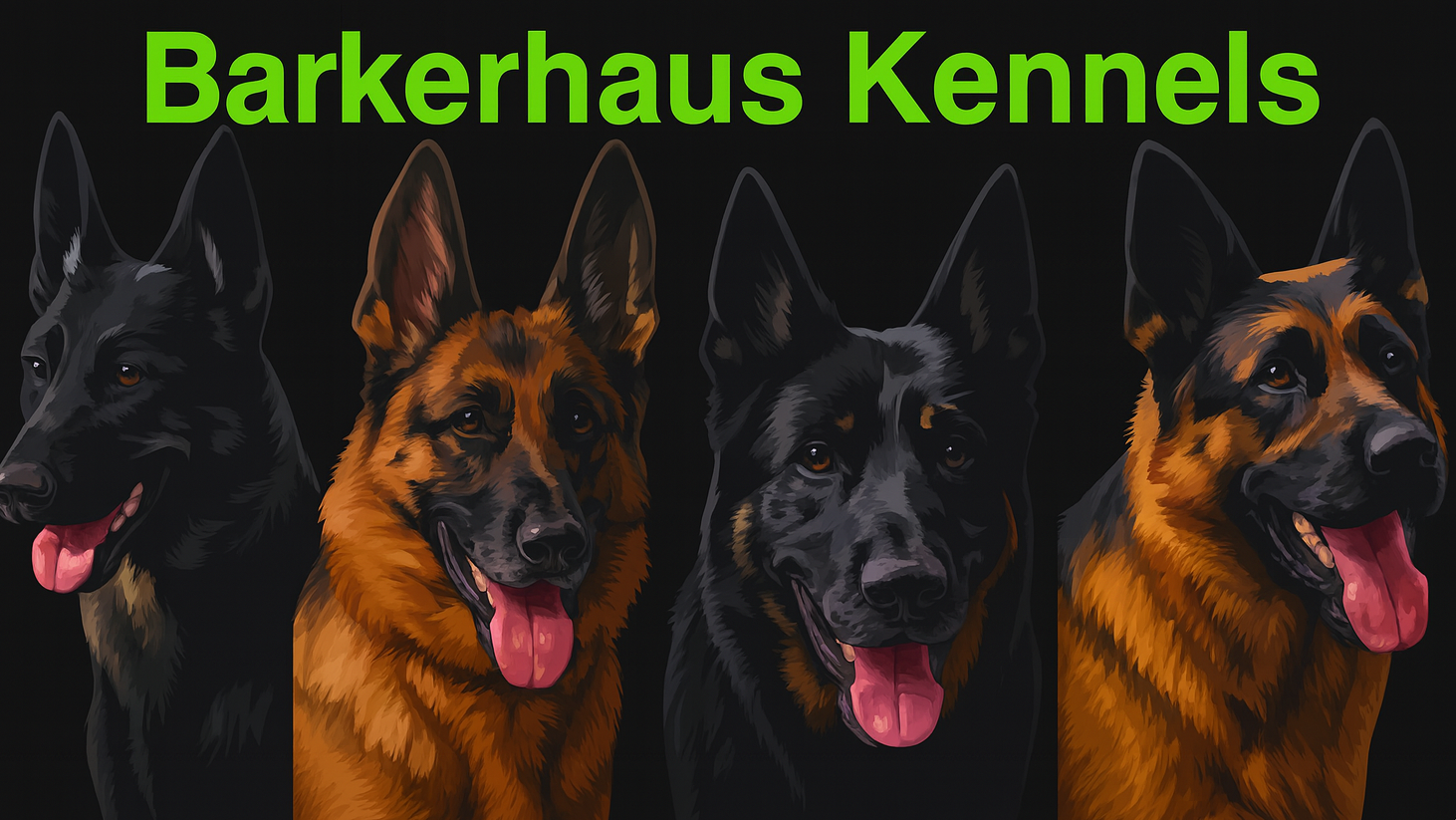 Barkerhaus Kennels banner with four German Shepherds on a dark background, one black-and-tan, two black, one tan.