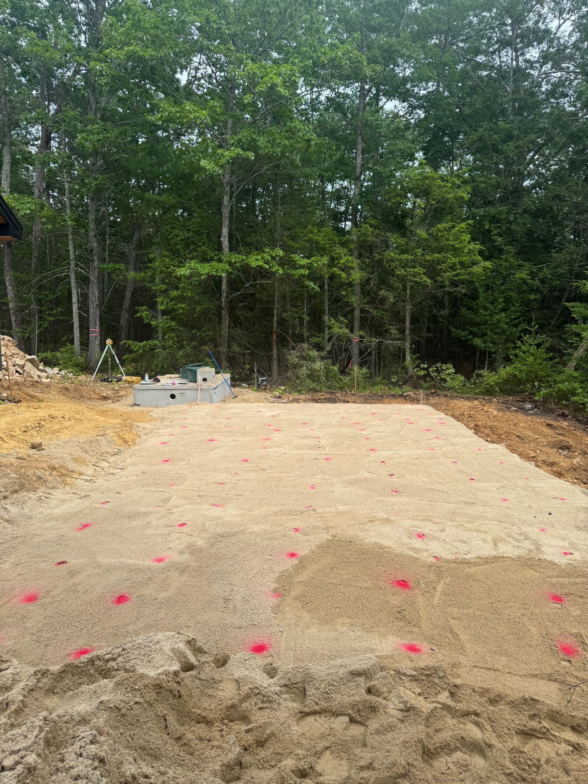 A large pile of dirt is sitting in the middle of a forest.