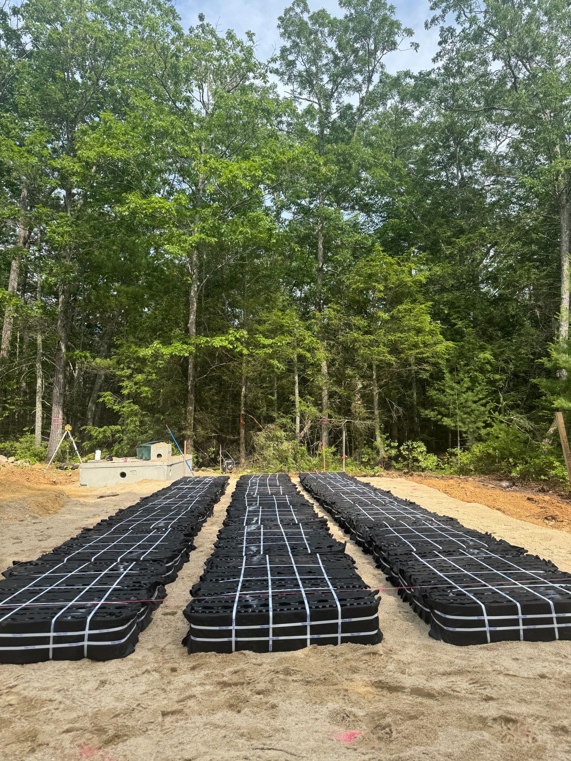 A row of black bags sitting on top of a dirt field in the middle of a forest.