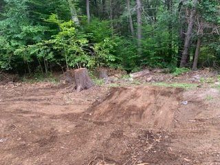 Clearing Land