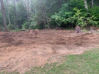 Cleared Area