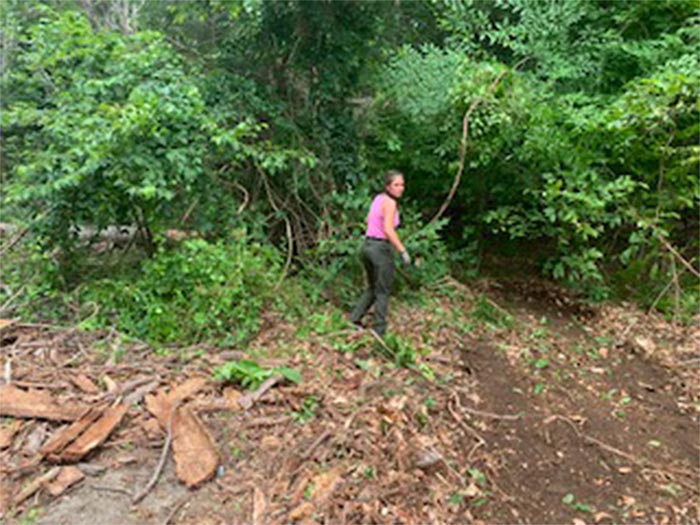 Worker Clearing the Area