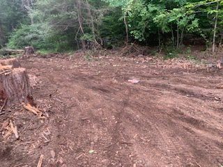 Cleared Area