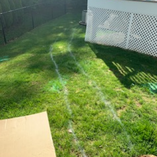 Site Markings