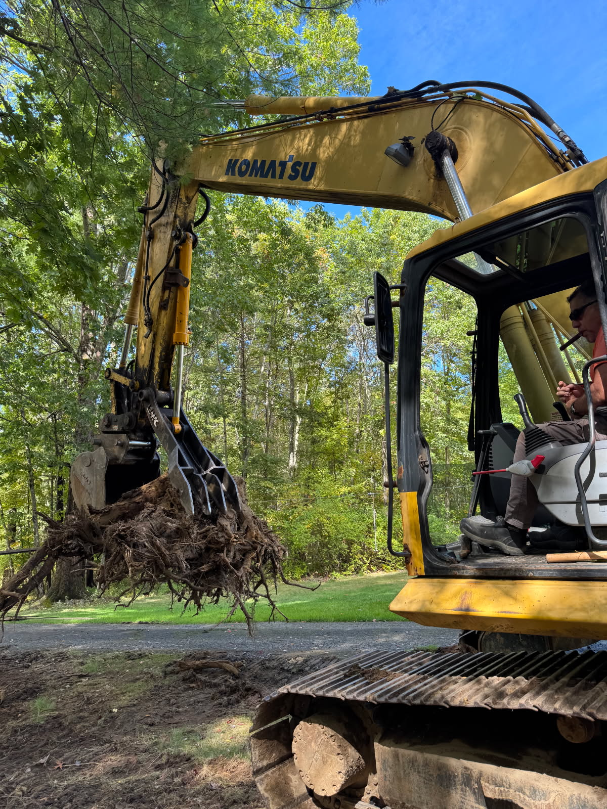 Yellow excavator lifting tangled roots beside a wooded roadside