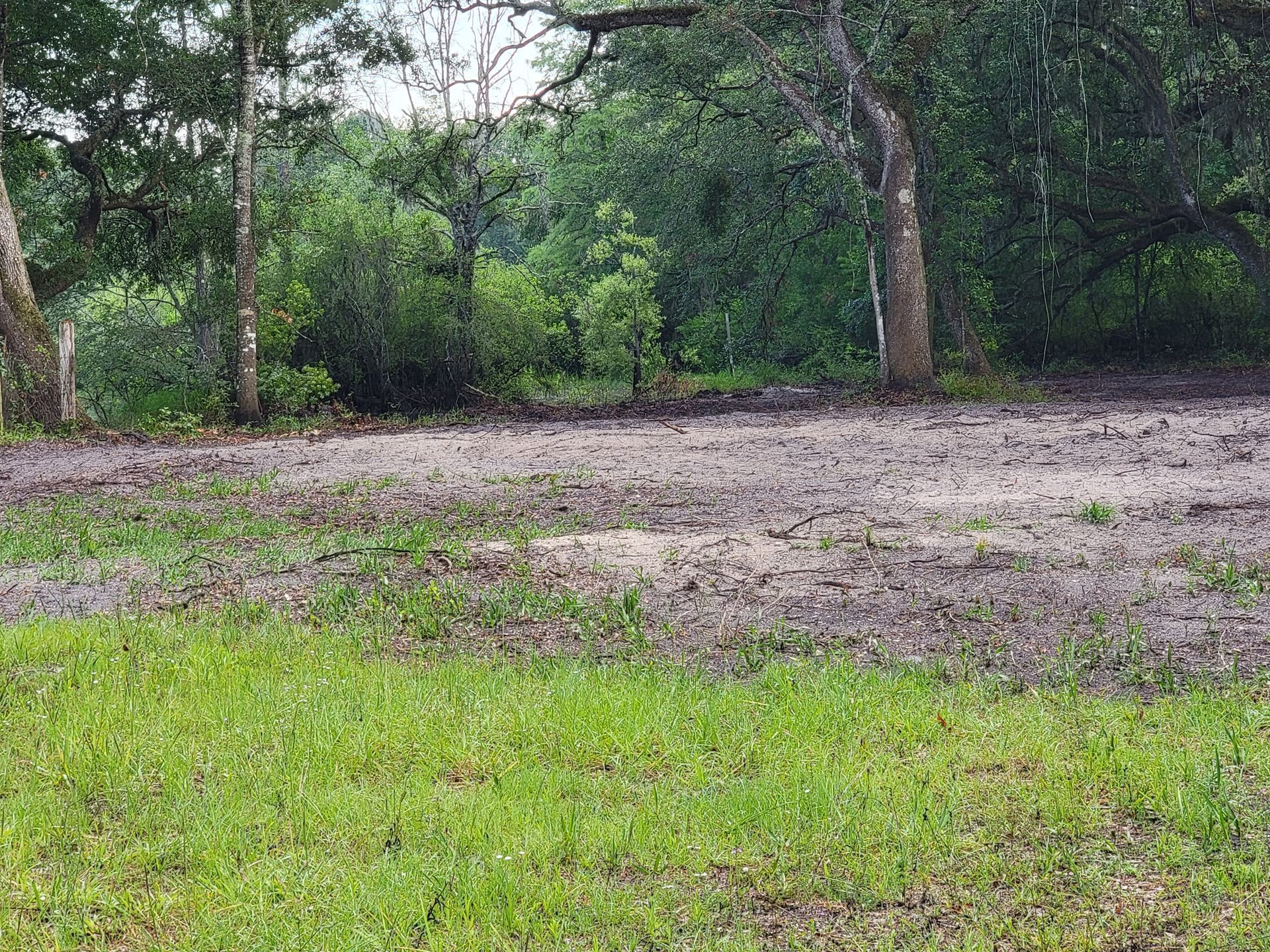 Muddy ground next to a grassy area, trees in the background.