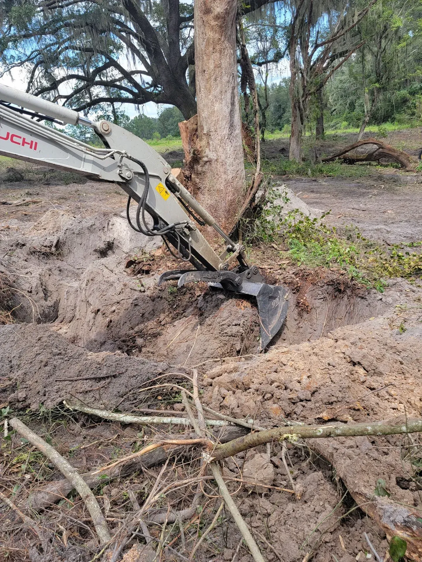 Excavator removing a tree in a muddy, wooded area.