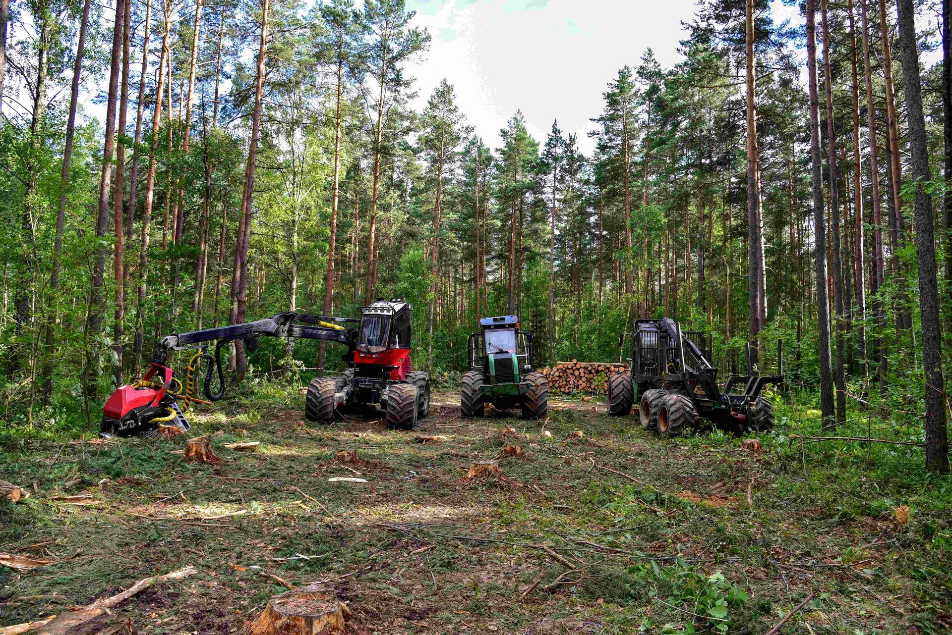 Three tractors and attachments parked in a forest clearing