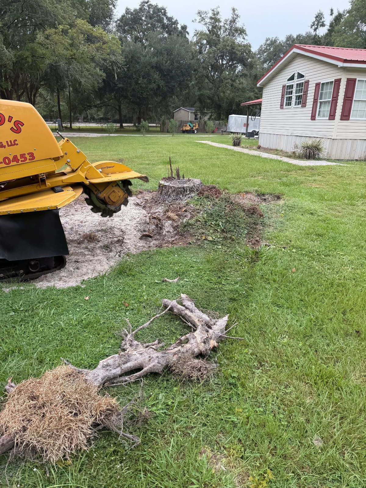 Yellow stump grinder next to a freshly ground tree stump on a green lawn beside a house.