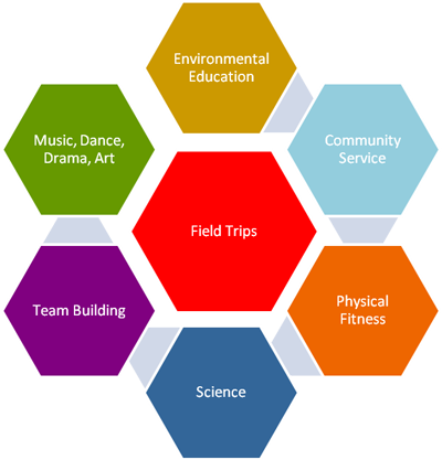 A diagram showing different types of activities including field trips