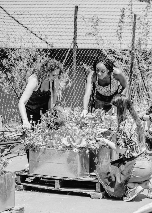 Three people arranging flowers in a planter outdoors near a fence