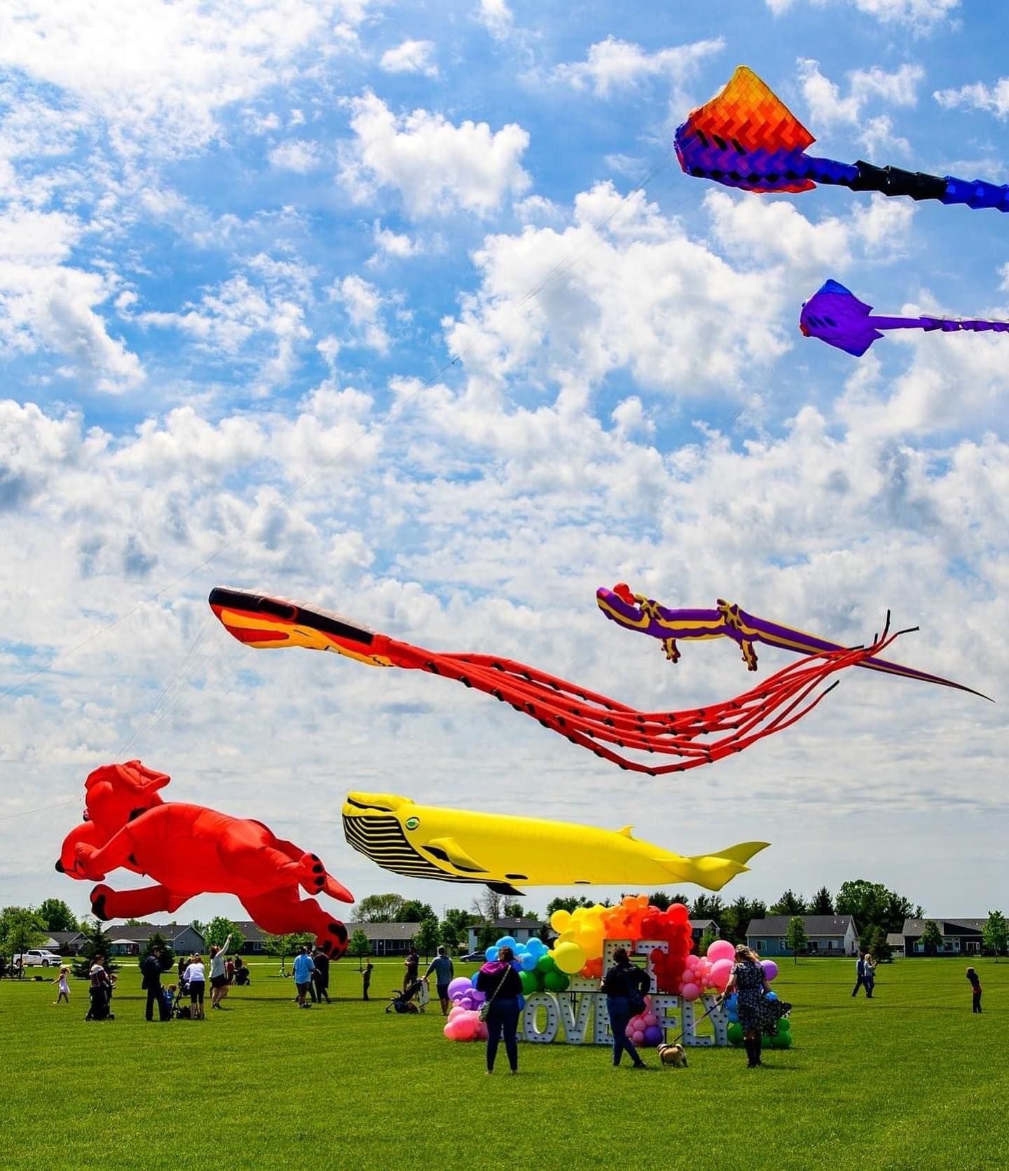 Contact Us Schedule An Event Great American Kites