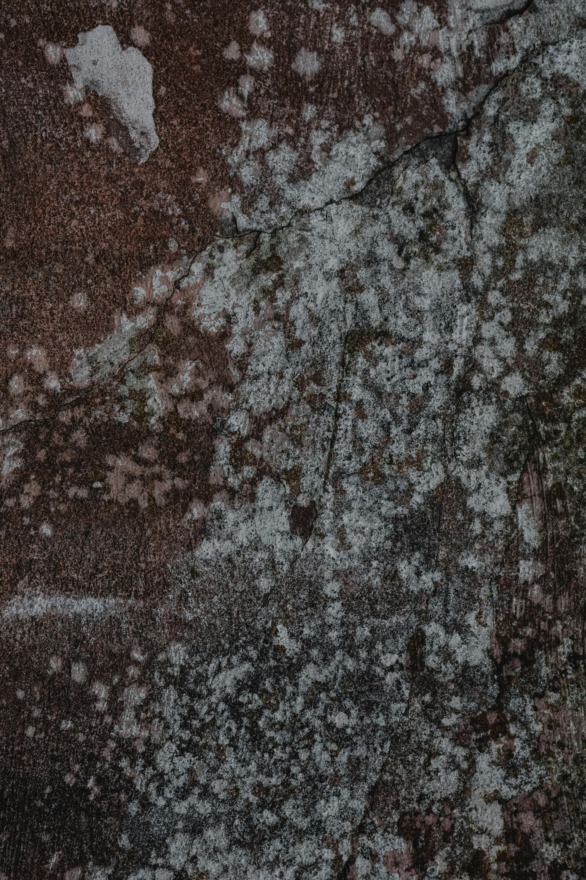 Textured, brown and gray rock face with white lichen and cracks.