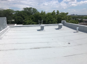 A white roof with a ladder on top of it and trees in the background.