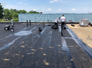 A group of people are working on a roof next to a body of water.