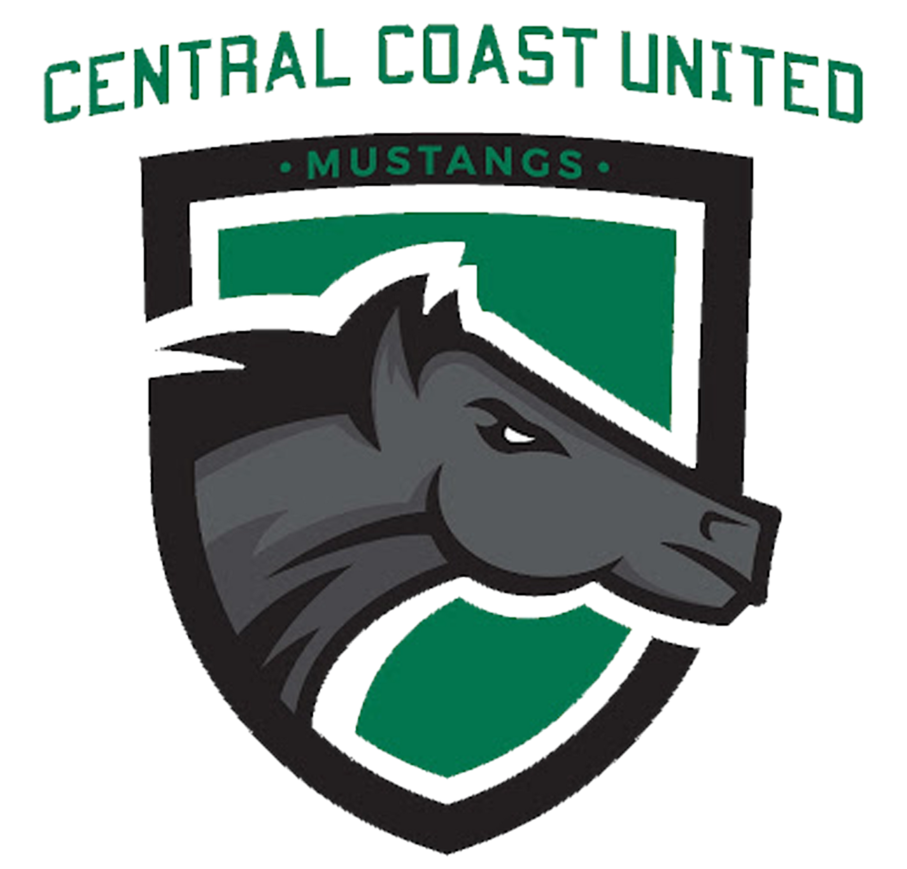 CCU logo - header, go to homepage