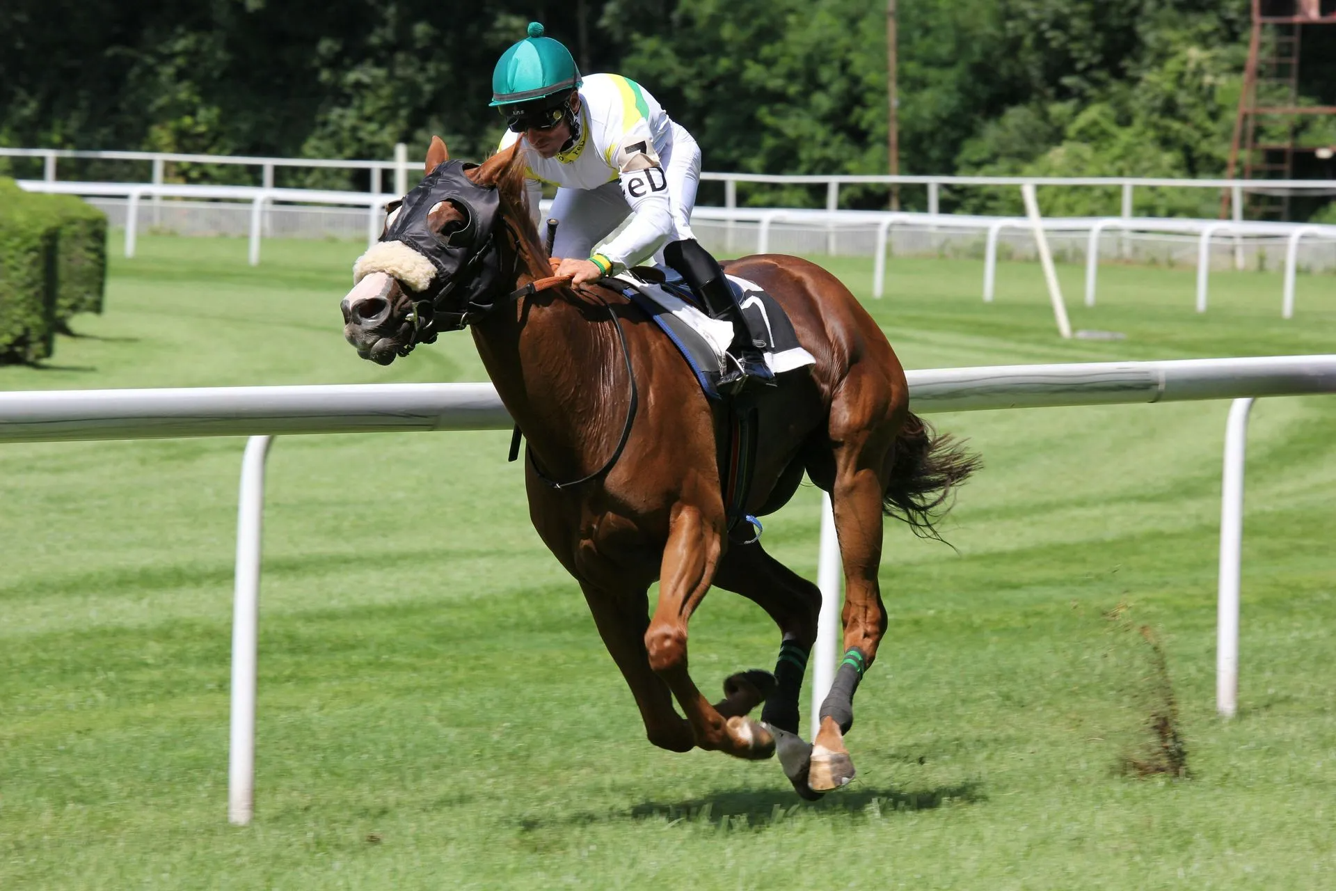 A brown racehorse with a jockey in green, racing on a grassy track.