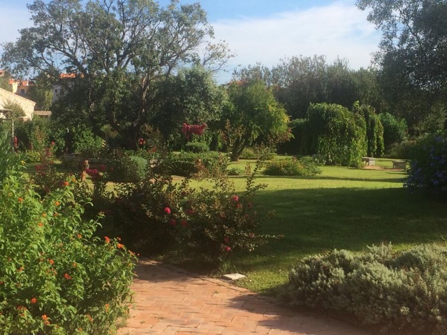 Giardino verde