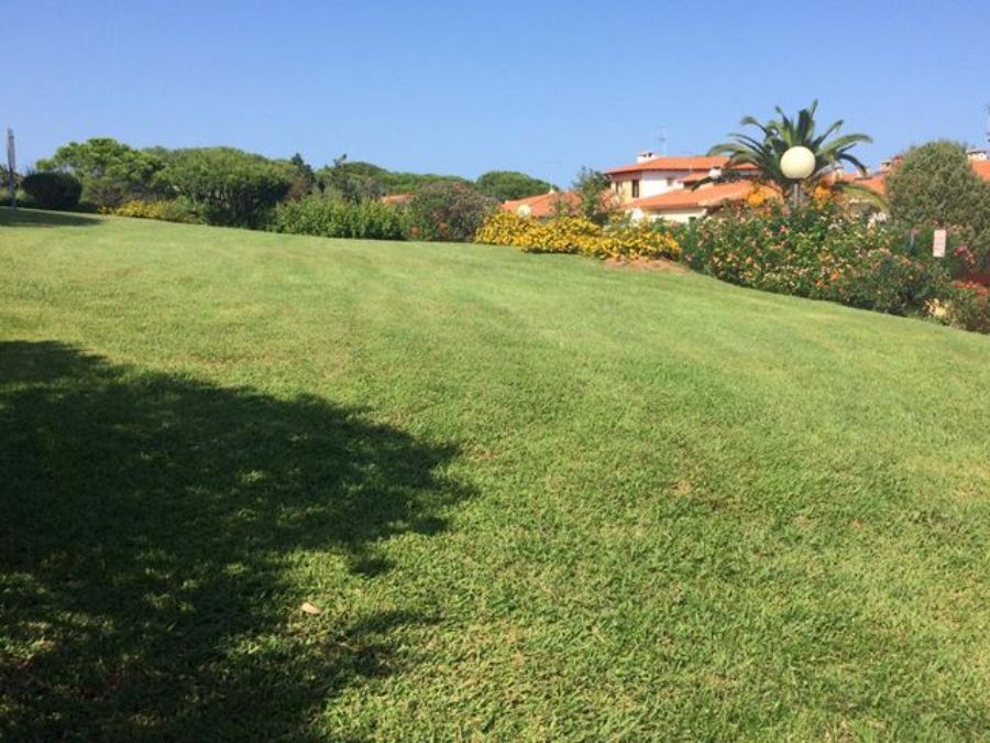 Ampio prato verde