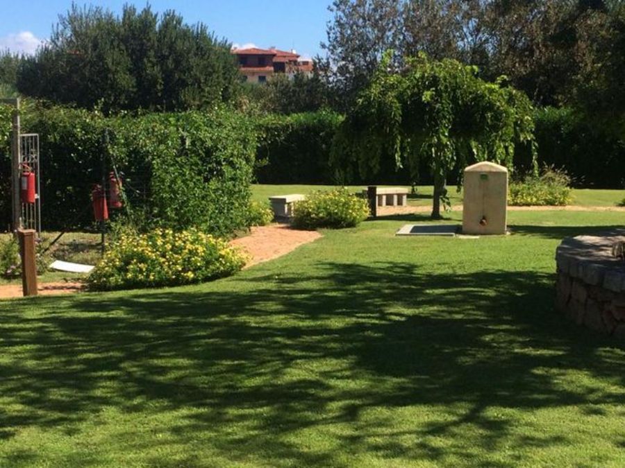 Giardino con piante