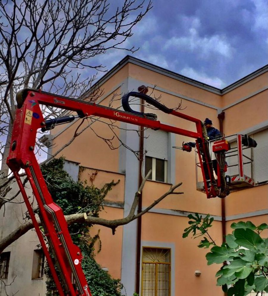 Operaio su una gru
