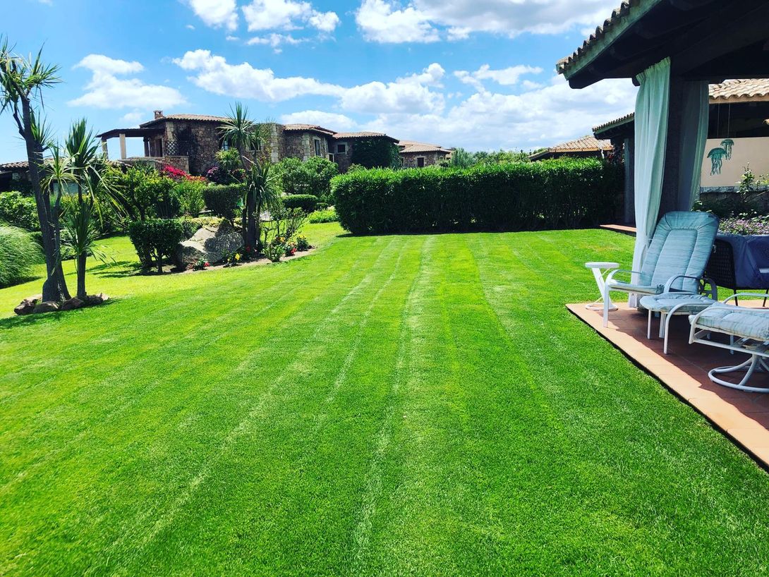Giardino con piscina