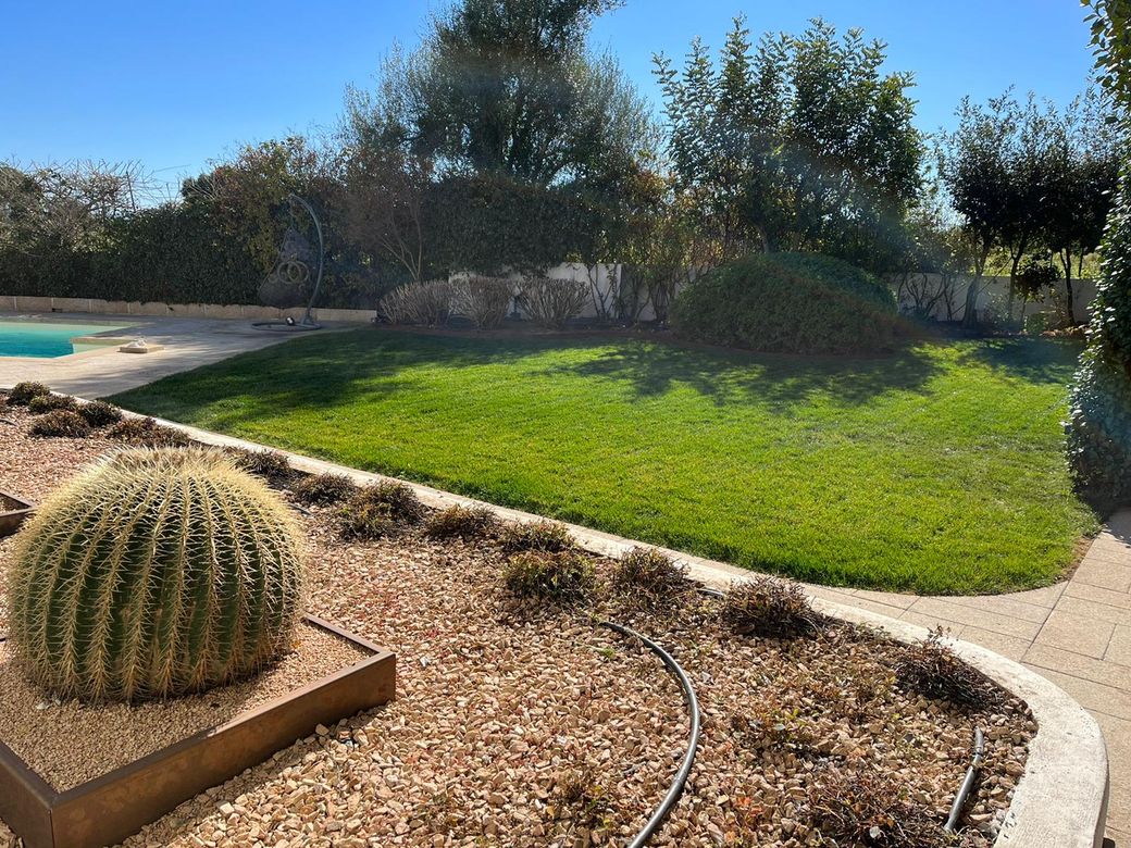 Giardino verde
