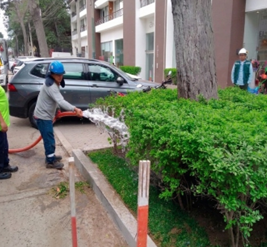 Un trabajador rocía agua sobre un seto junto a una calle, con un coche aparcado y un edificio de apartamentos cerca.