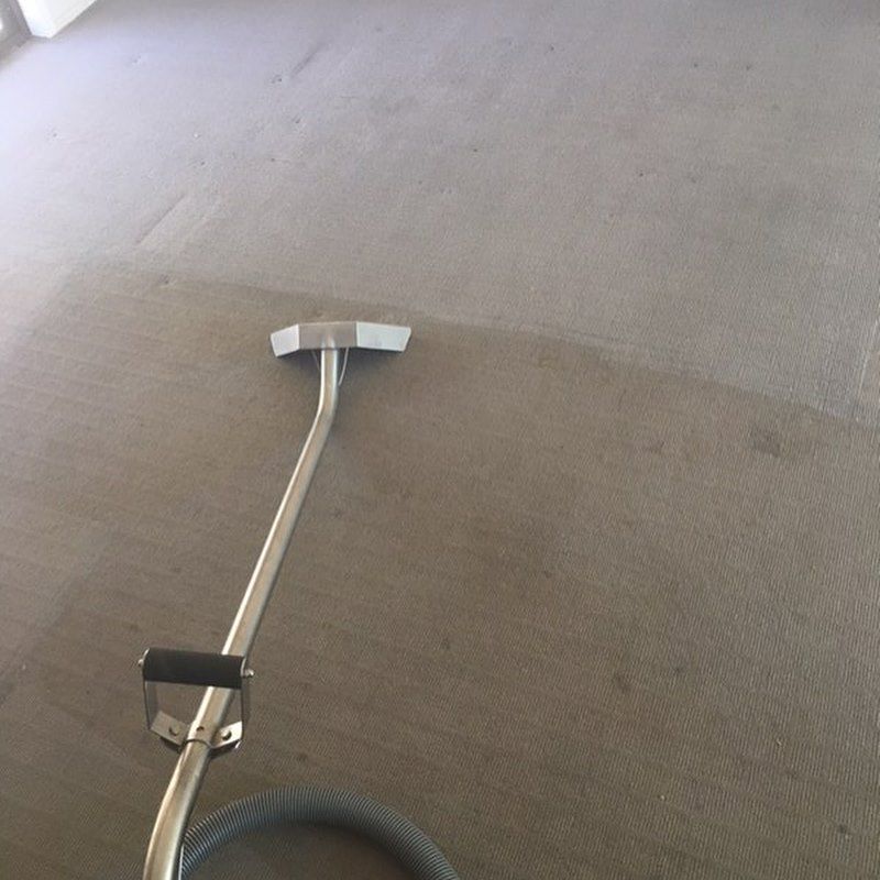 Long-handled floor cleaning brush with a curved metal rod on a light carpet — Rudy's Carpet Cleaning & Pest Management In Sharon, QLD