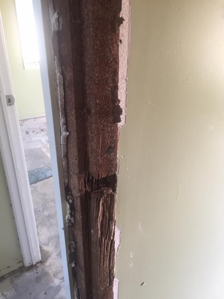 Damaged Wall Opening With Exposed Wood — Rudy's Carpet Cleaning & Pest Management In Sharon, QLD