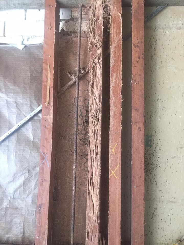 Damaged Door Frame With Exposed Wiring Beside a Concrete Wall — Rudy's Carpet Cleaning & Pest Management In Sharon, QLD