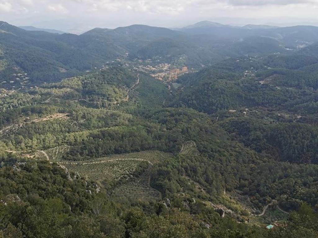 Domaine des escavalins - Provence - gite - bastide - oliveraie - producteur huile olive   - vacances - olives - sentier - piste montagne  - GR - PACA - alpes cote azur