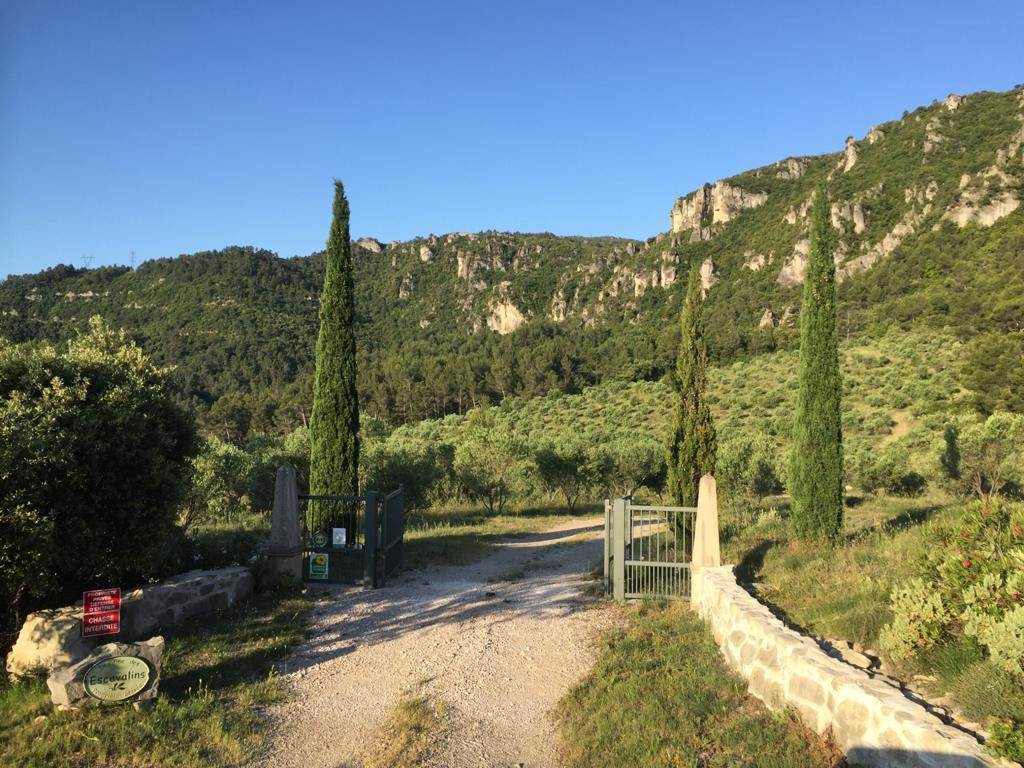 Domaine des escavalins - Provence - gite - bastide - oliveraie - producteur huile olive   - vacances - olives - sentier - piste montagne  - GR - PACA - alpes cote azur