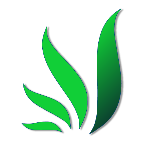 A green leaf with a shadow on a white background