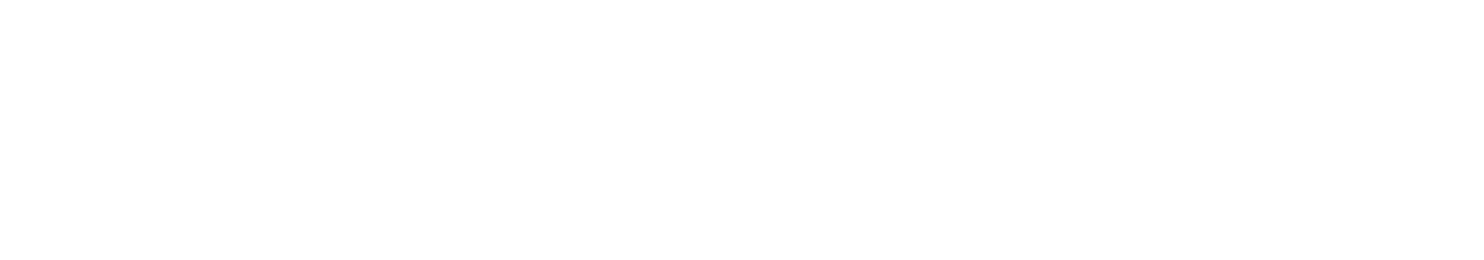 Tim van Leijenhorst Logo