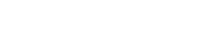 Tim van Leijenhorst Logo