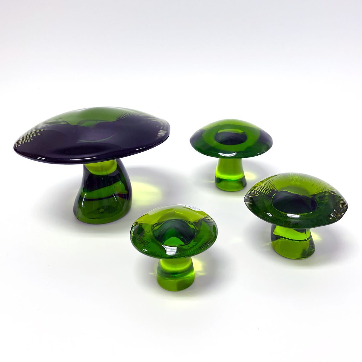 Viking mushroom set