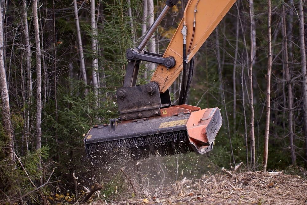 Excavator With Brush Cutter in Forest, Cutting and Mulching Vegetation — JC Forestry in Dungog, NSW