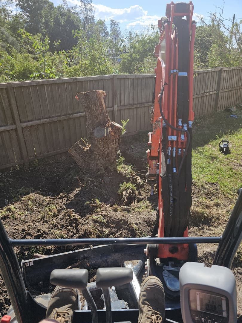Orange Excavator Removing a Tree Stump Next to a Wooden Fence — JC Forestry in Raymond Terrace, NSW