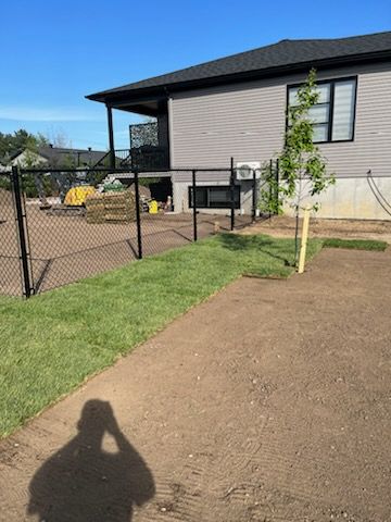 Un jardin fraîchement gazonné avec une clôture noire, un arbre et une maison. L'ombre d'une personne apparaît au premier plan.