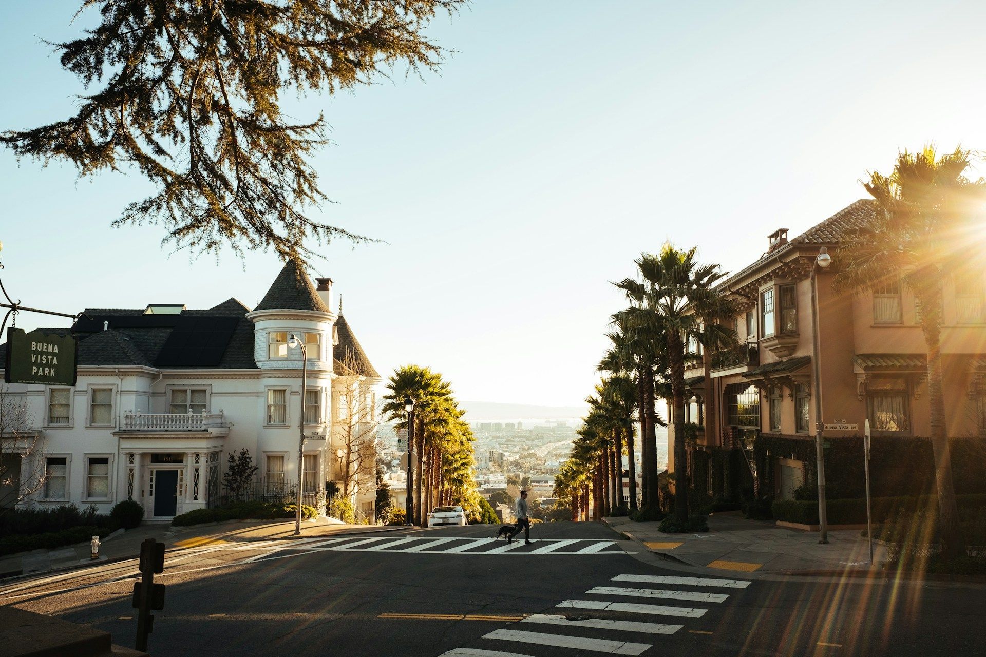 Street scene with buildings, palm trees, and crosswalk, bathed in sunlight.