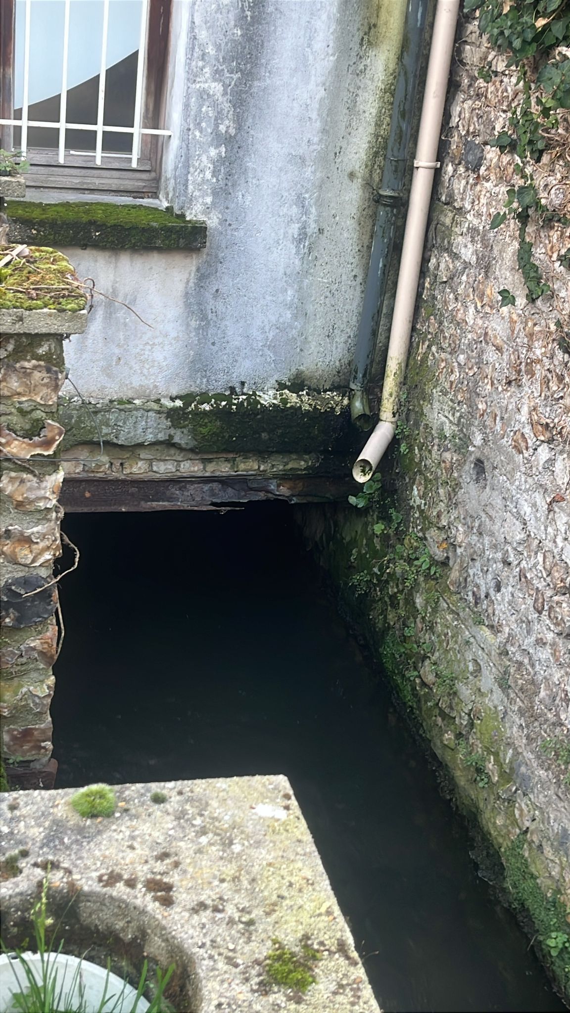 Un fossé d'eau sombre et ouvert jouxte un vieux mur de pierre et une fenêtre, recouvert de mousse et muni d'un tuyau de drainage.