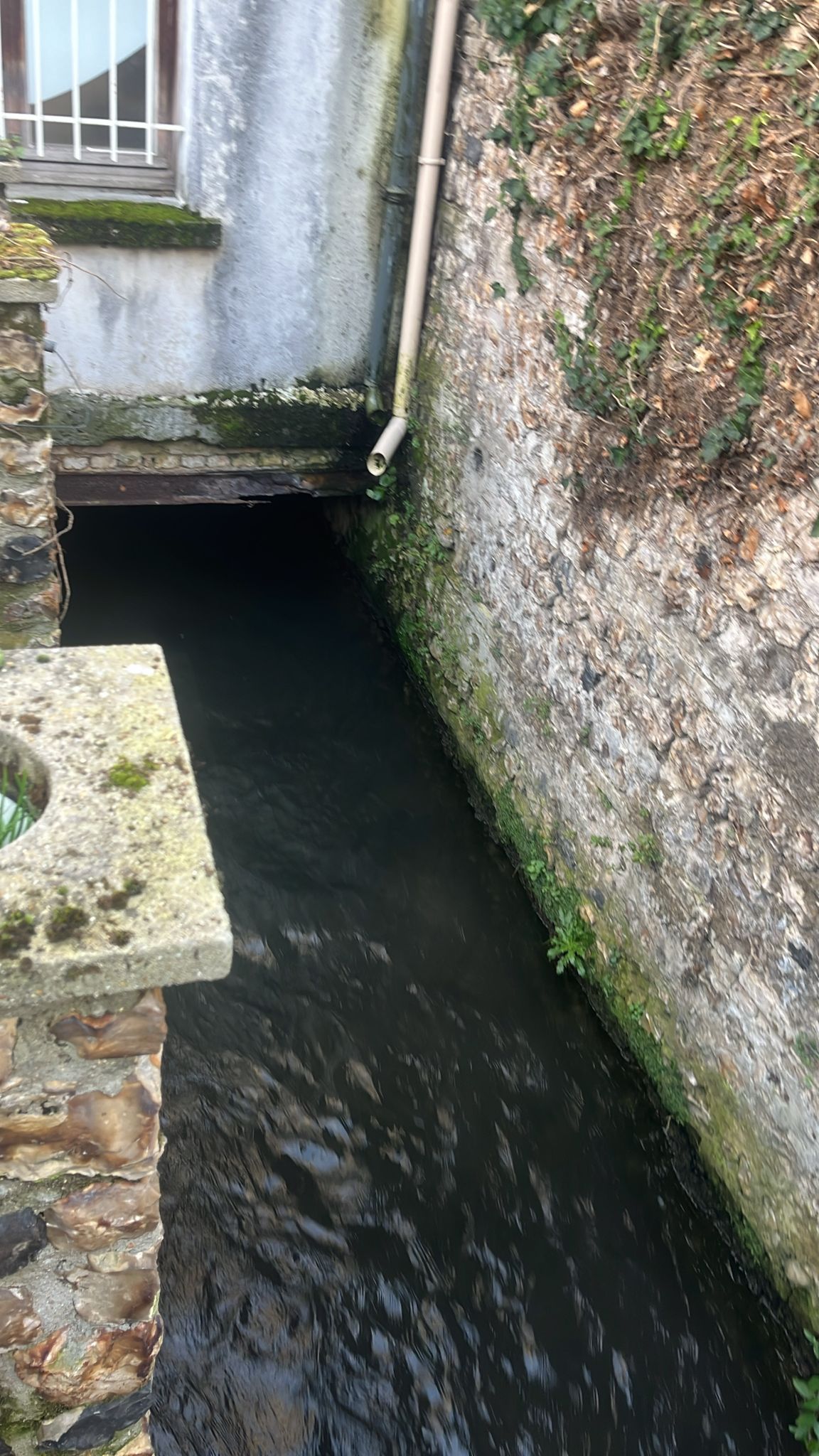 Canal étroit aux eaux sombres, entre des murs de pierre moussus et un petit pont en béton au-dessus.