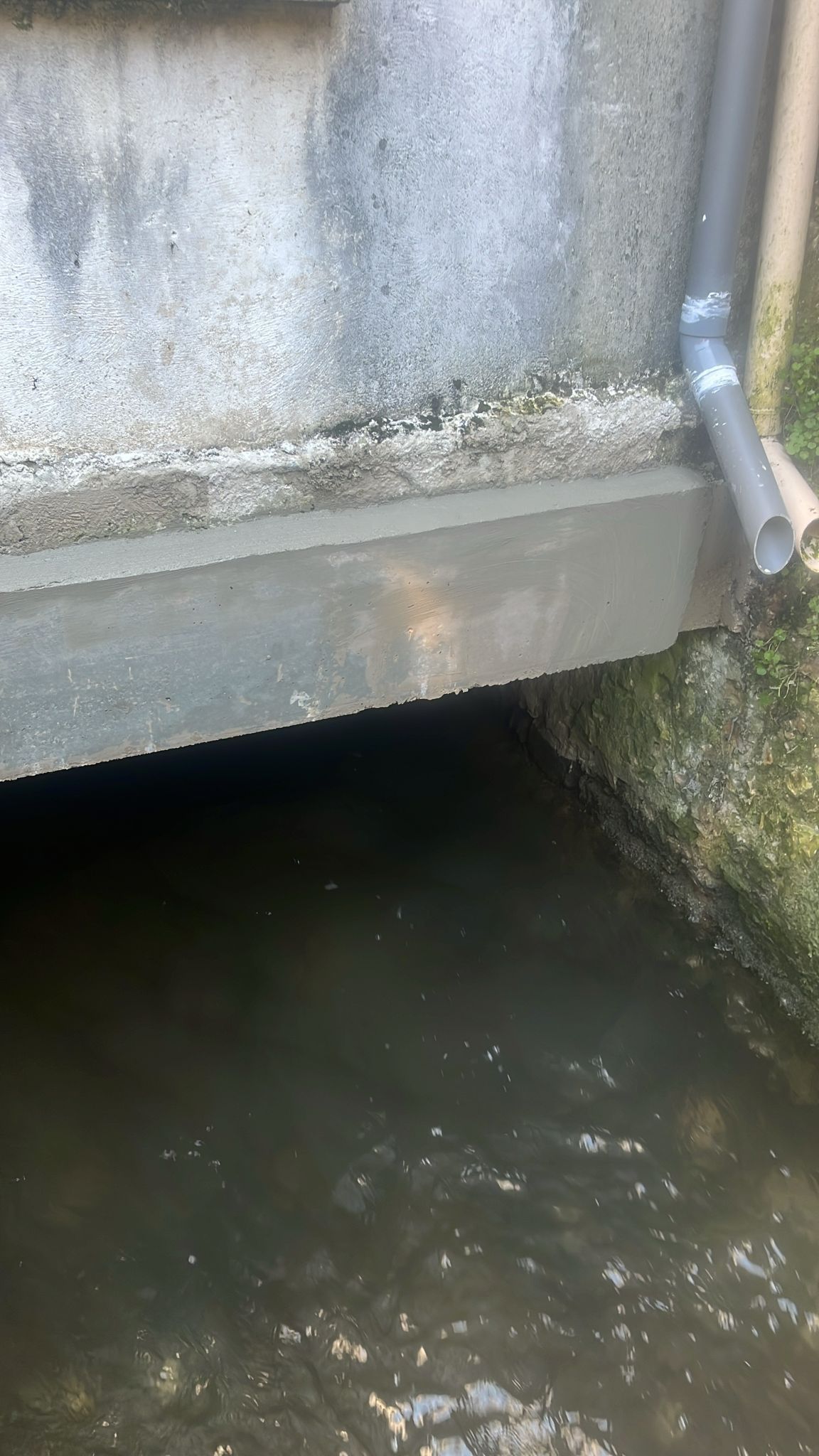 Bordure de pont en béton surplombant une eau sombre, avec un tuyau métallique et de la mousse le long du mur