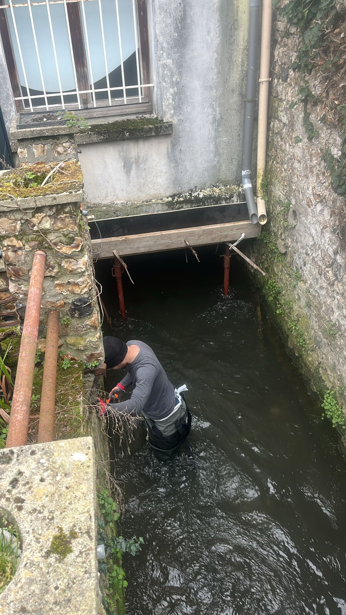Une personne en cuissardes travaille dans un canal étroit sous une ouverture en béton, entourée d'eau trouble.