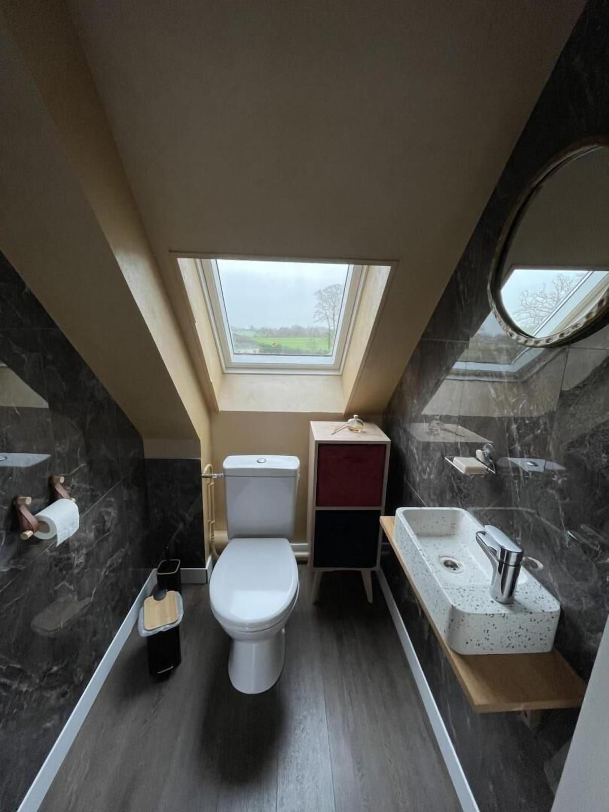 Salle de bains étroite avec plafond mansardé, toilettes, lavabo et fenêtre de toit.