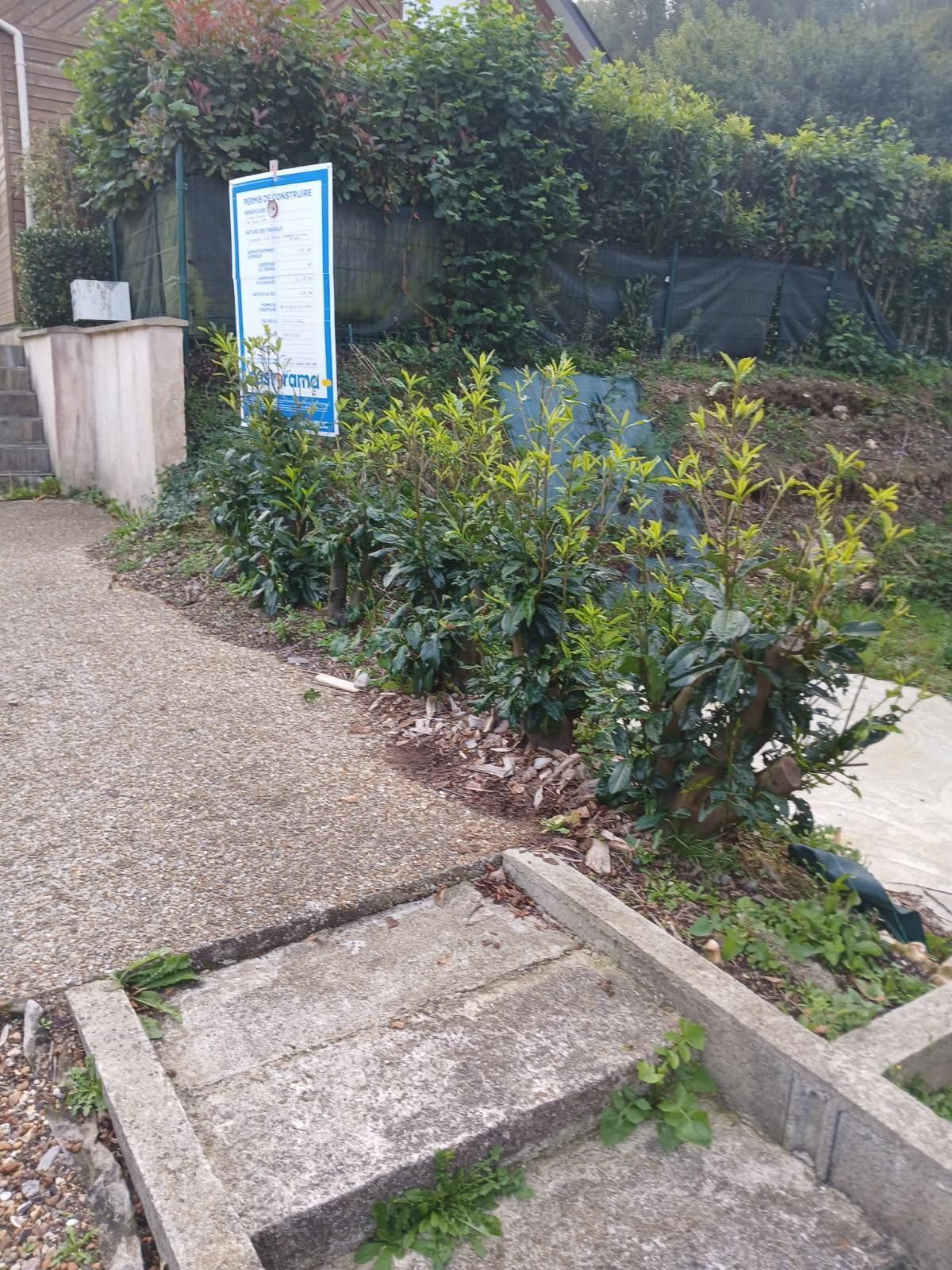 Allée de gravier longeant une jardinière basse en béton avec des arbustes et un panneau bleu dans un jardin.