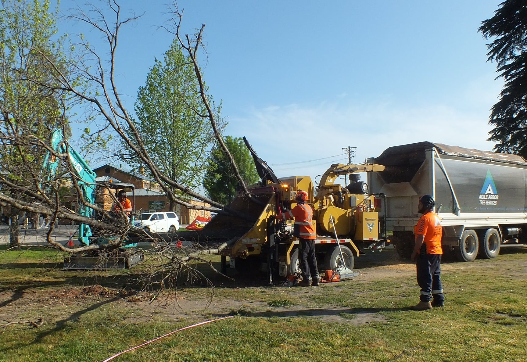 Workers use an excavator and a wood chipper to clear a tree, depositing the wood into a large dump truck on a sunny day.