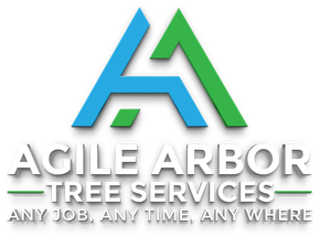 Tree Services in Bathurst Logo for Agile Arbor Tree Services featuring a stylized blue and green "A" and the tagline "Any job, any time, any where."